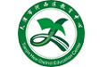 河西移动教研电脑版