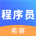 程序员考试电脑版