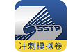 医学高级职称冲刺模拟卷电脑版
