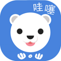 哇噻教育电脑版