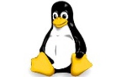 Linux Kernel