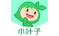 小叶子智能陪练电脑版