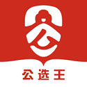 公选王电脑版