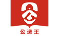 公选王电脑版