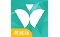 维尔驾服教练版电脑版