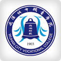 武汉城市职业学院移动办公电脑版