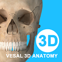 维萨里3D解剖教学电脑版