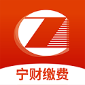 宁财缴费电脑版