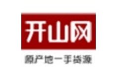 开山网电脑版