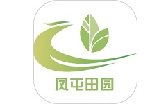 凤屯田园电脑版