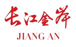 长江金岸电脑版