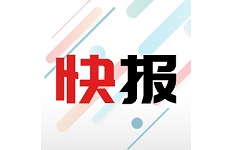 新闻快报电脑版