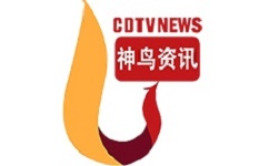神鸟资讯电脑版