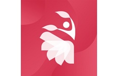 舞美秀电脑版