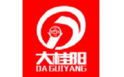 大桂阳电脑版