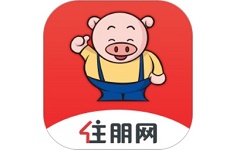 住朋网电脑版