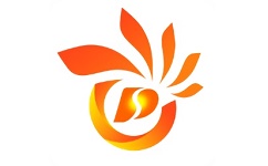 掌心磐石电脑版