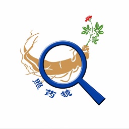 照药镜电脑版