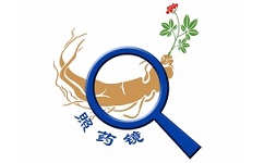 照药镜电脑版