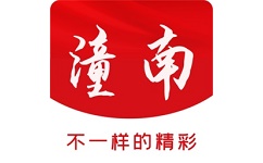掌心潼南电脑版