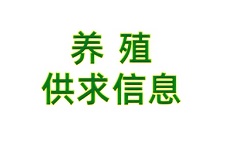 养殖供求信息平台电脑版