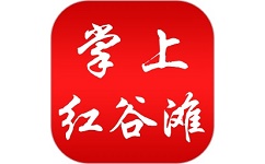 掌上红谷滩电脑版