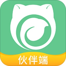 云造伙伴电脑版