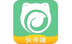 云造伙伴电脑版