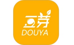 豆芽车服电脑版
