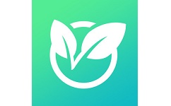 草籽游电脑版