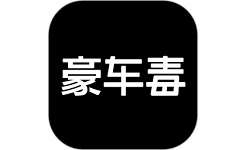 豪车毒电脑版