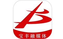 云上宝丰电脑版