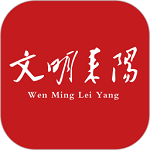 文明耒阳电脑版