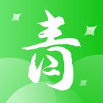 青春宁夏电脑版