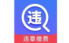 查违章12123电脑版