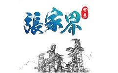 智慧张家界电脑版