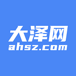 大泽网电脑版