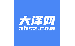 大泽网电脑版