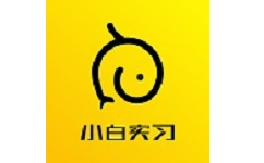 小白实习电脑版