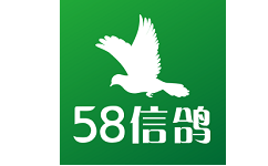 58信鸽电脑版