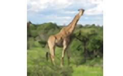 代码比较工具Diffuse