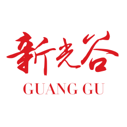 武汉新光谷电脑版