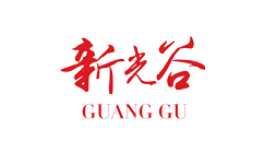 武汉新光谷电脑版