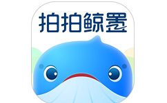 拍拍鲸置电脑版