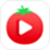  番茄视频电脑版