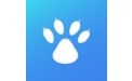 猫熊电竞