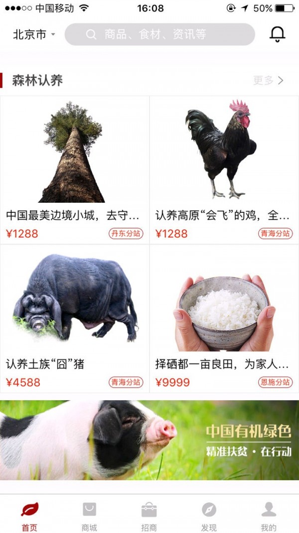 重返森林  v2.1.0