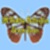 3D Desktop Butterfly Screen Saver