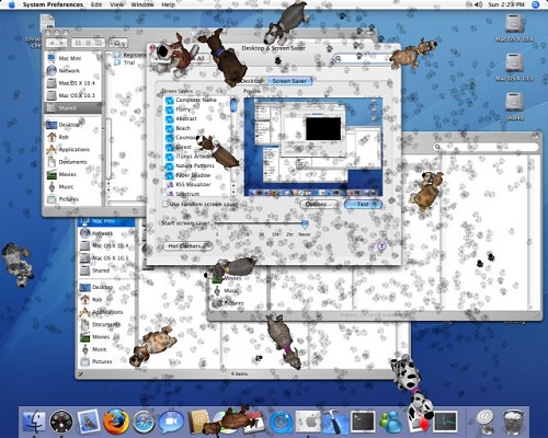 3D Desktop Dogs Screen saver截图