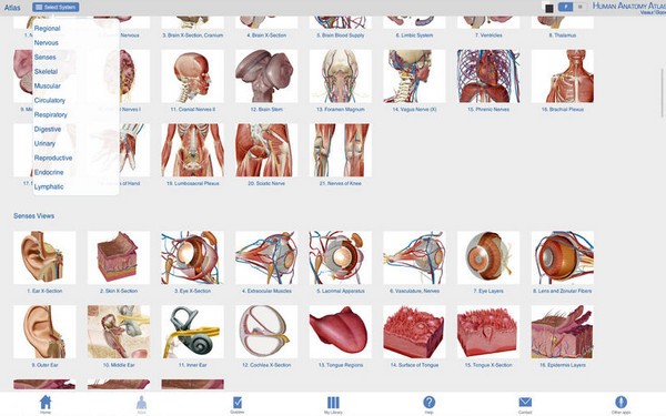 Human Anatomy Atlas截图